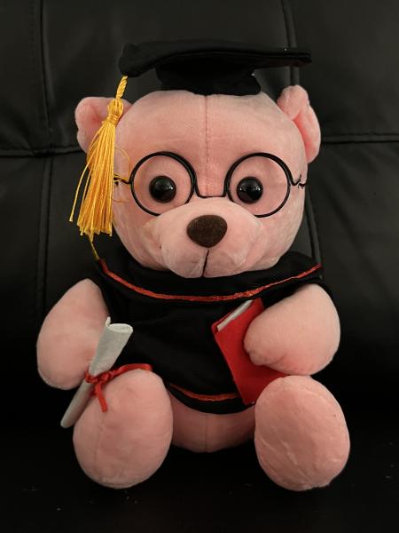 Graduation teddy bear 