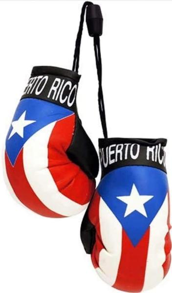  Puerto Rico punching gloves