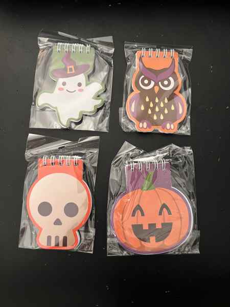 Halloween mini notebooks 