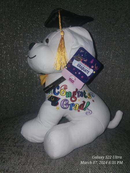 Dog graduation plushy (write on me)